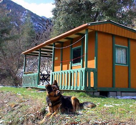 Chalet-Bungalow Ombrage Escaro Eksteriør bilde