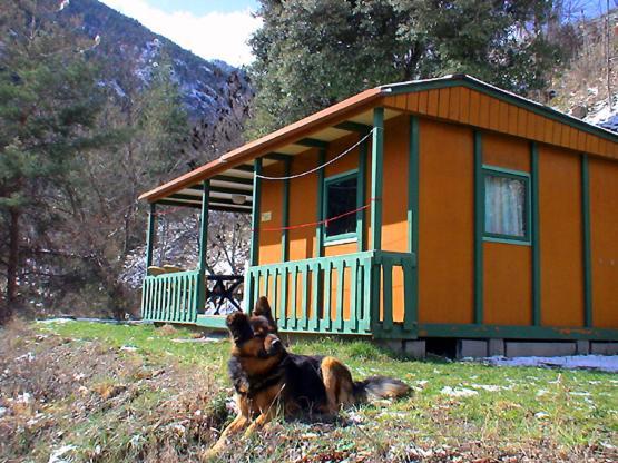 Chalet-Bungalow Ombrage Escaro Eksteriør bilde